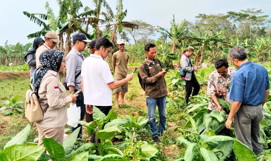 Dorong Potensi Lokal, Kemenkum Jabar Selangkah Lebih Dekat Daftarkan IG Tembakau Uteran Pangandaran