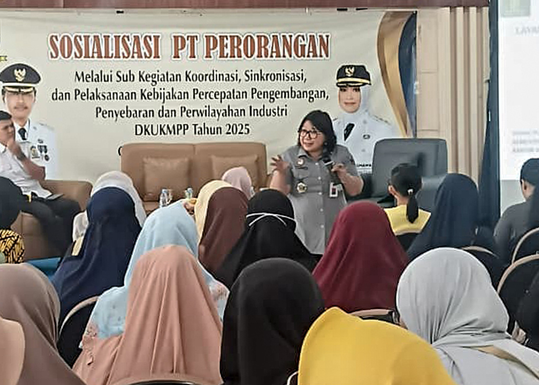 241125 PTPerorangan 2